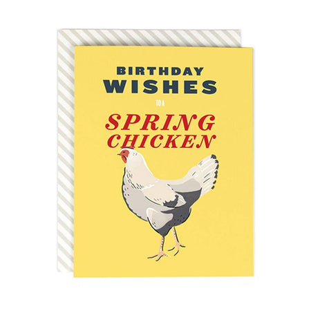 Yellow card with black and red text saying, “Birthday Wishes to a Spring Chicken”. Image of a white chicken in center. An ivory envelope is included.