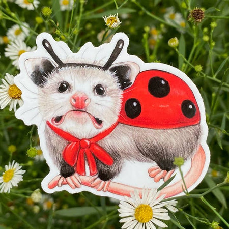 Sticker in the image of an opossum dressed in a ladybug costume.