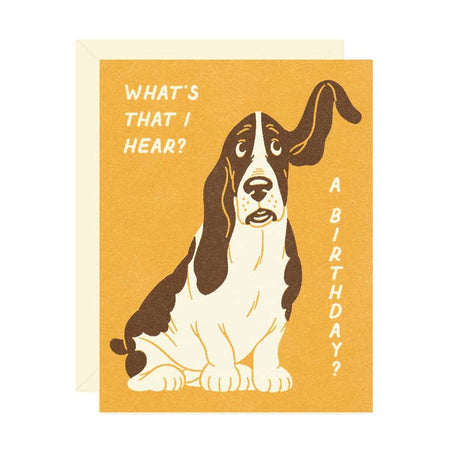 Yellow card with image of a basset hound with right ear sticking up. White text saying, “What’s that I hear? A birthday?” A white envelope is included.