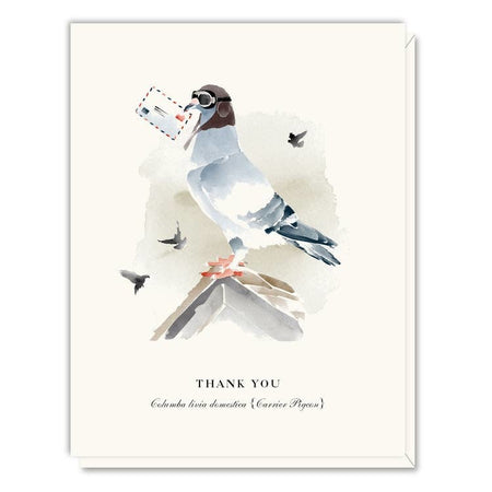 White card with images of a pigeon wearing a flying cap and goggles holding an airmail envelope in its mouth flying over mountains. Black text saying, “Thank You”.  A white envelope is included.