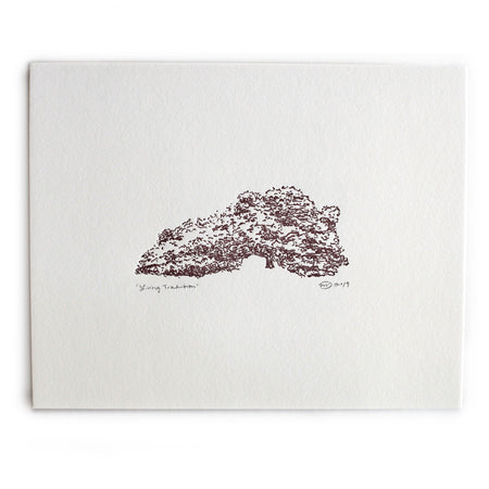 Art print with ivory background and black ink with image of the Century Tree at Texas A&M University.