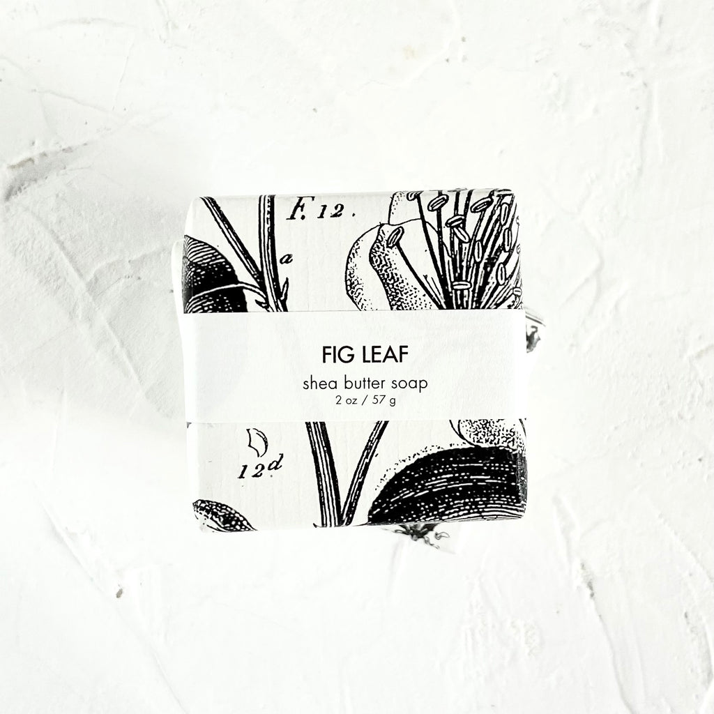 White square package with black text saying, “Fig Leaf Shea Butter Soap”. Image of a fig branch.